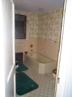 bath-before-1.jpg bath-before-1.jpg