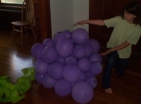 grapes.jpg