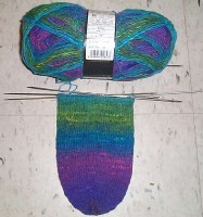noro-sock-1.jpg noro-sock-1.jpg