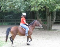 REF-kid1.jpg REF-kid1.jpg