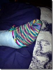 11144949_10205775678383821_2453126069393554364_n